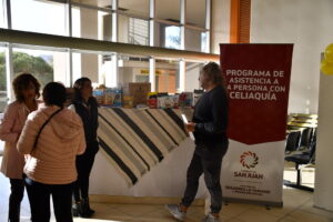 DESARROLLO