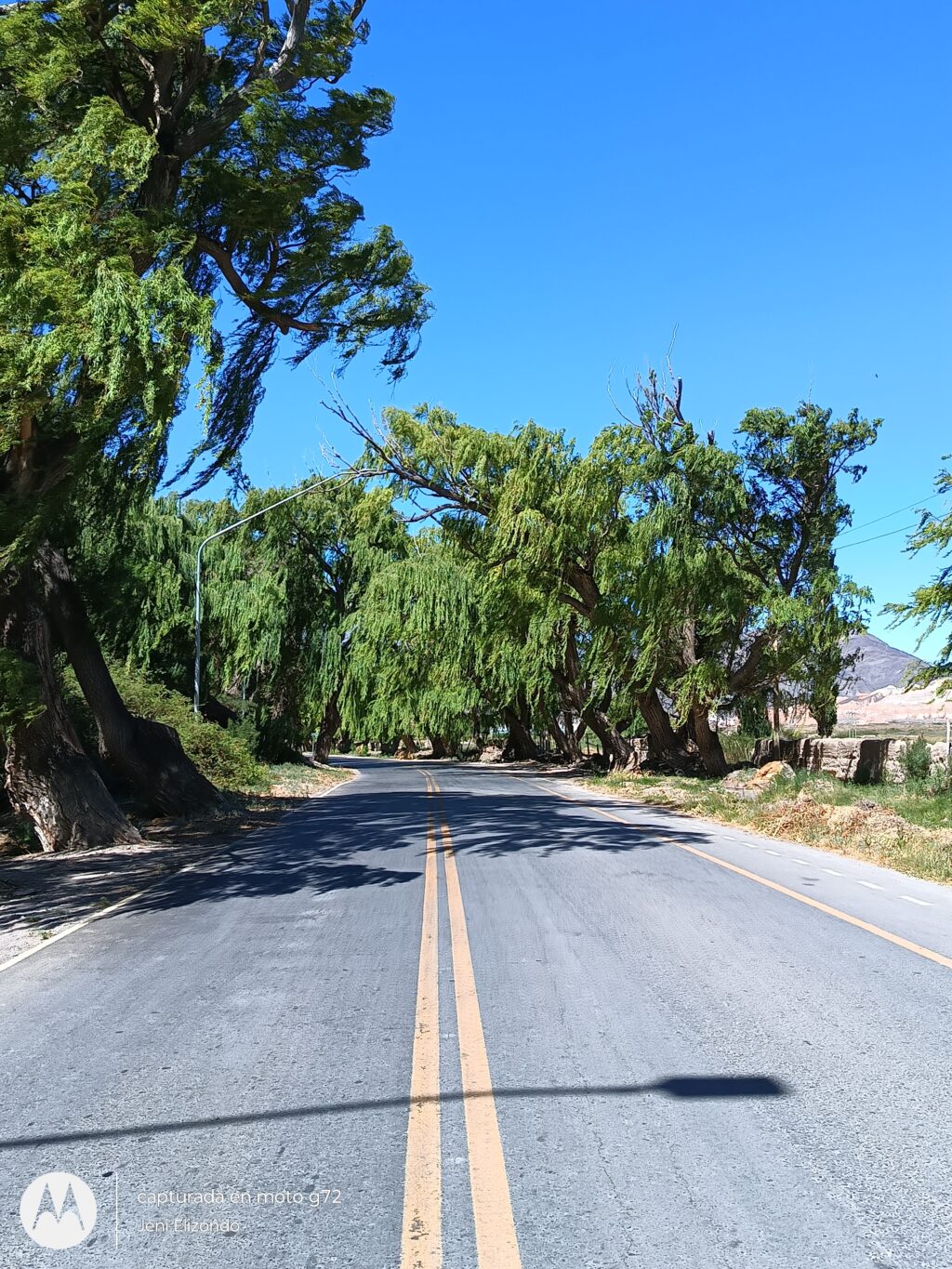 IMG_20240113_161745286