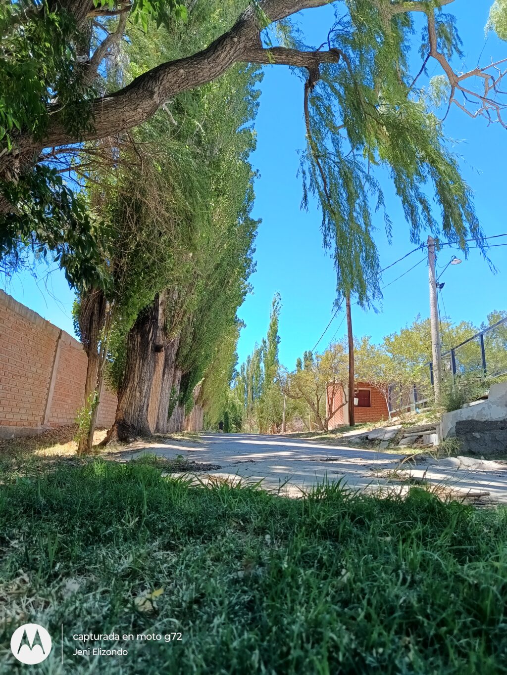 IMG_20240113_130034150_HDR