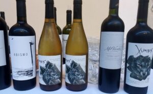 El Ministerio de Producción de San Juan organizó una exclusiva cata en Buenos Aires, destacando los vinos ganadores del XXXVI Concurso Nacional Cata San Juan 2024. Sommeliers, dueños de vinotecas y prensa especializada disfrutaron de etiquetas como Mil Vientos Barrica y Sagrado El Pedernal, premiadas con la Medalla Gran Oro.