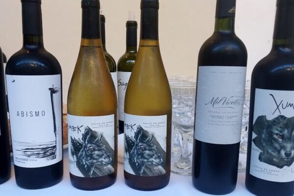 SAN JUAN BRILLA EN BUENOS AIRES CON SUS MEJORES VINOS