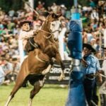 El próximo 8 y 9 de febrero, San Juan será sede de la XXIII edición de la Fiesta Nacional de las Destrezas Criollas y el Folklore, un evento que reúne lo mejor de la tradición gaucha en el Predio José Dolores.