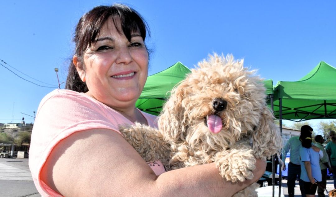 En el marco del Día Mundial de la Esterilización Animal, la Secretaría de Ambiente y Desarrollo Sustentable de San Juan llevará a cabo una jornada especial de castración gratuita este martes 25 de febrero en la Plaza Barrio Huazihul.