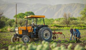 El gobierno de San Juan ha lanzado un ambicioso plan de asistencia para mitigar los efectos de la crisis económica, la caída del consumo y las inclemencias climáticas que afectan al sector agrícola. Con una inversión superior a los 12.400 millones de pesos, la provincia ofrece créditos financieros y subsidios no reintegrables para viñateros, productores agrícolas y establecimientos elaboradores.