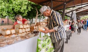 El Ministerio de Gobierno de San Juan, a través de la Secretaría de Relaciones Institucionales y la Dirección de Cultos y ONG, convoca a todas las organizaciones sociales inscriptas en el Registro Único de Cultos y ONG (RUCO) a participar de la Feria Agroproductiva 2025. El evento se realizará en el Paseo de las Palmeras del Parque de Mayo, el primer y tercer sábado de cada mes.