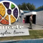 Un escándalo de presunta corrupción sacude al departamento de Caucete, San Juan. La actual intendenta se encuentra en el centro de las investigaciones judiciales tras denuncias por manejos irregulares de fondos públicos.