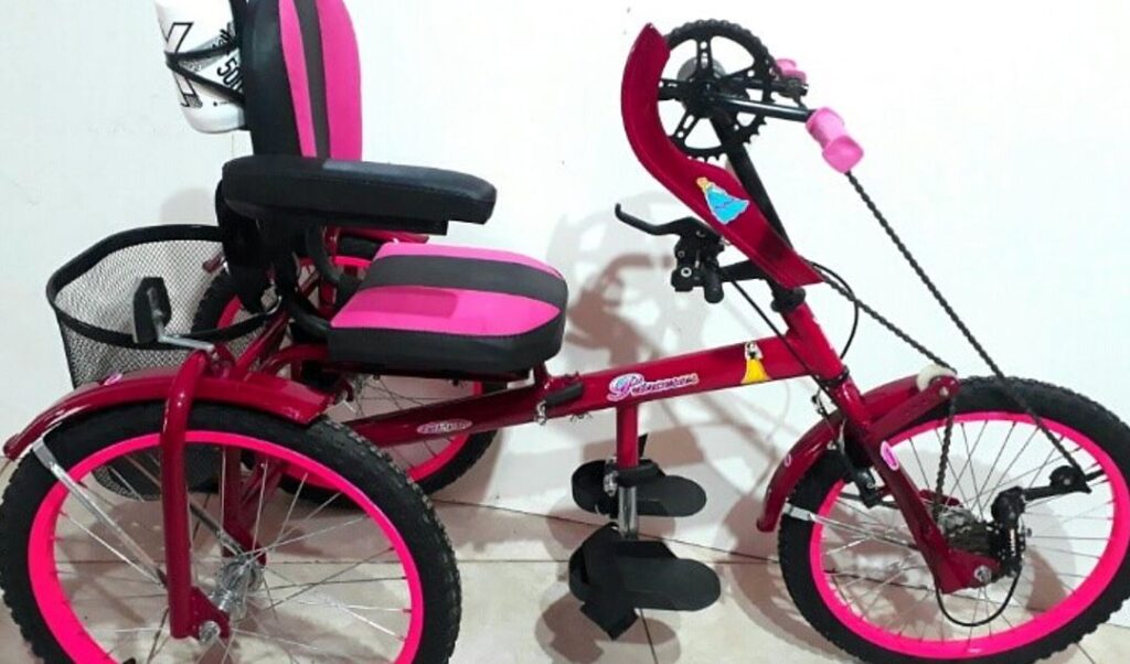 El Gobierno de San Juan, a través de la Dirección de Personas con Discapacidad, lanzó el programa “Transporte Inclusivo”, que busca facilitar el acceso a la movilidad para personas con discapacidad.