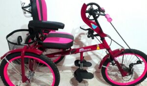 El Gobierno de San Juan, a través de la Dirección de Personas con Discapacidad, lanzó el programa “Transporte Inclusivo”, que busca facilitar el acceso a la movilidad para personas con discapacidad.