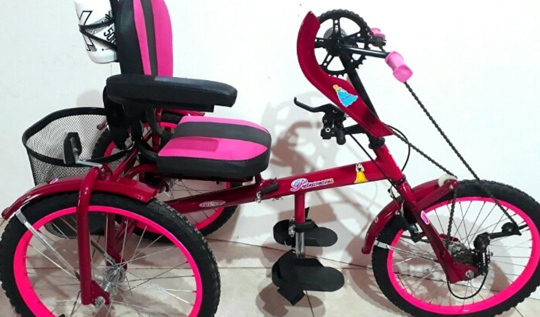 El Gobierno de San Juan, a través de la Dirección de Personas con Discapacidad, lanzó el programa “Transporte Inclusivo”, que busca facilitar el acceso a la movilidad para personas con discapacidad.