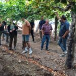 En el marco del Plan de Desarrollo Vitivinícola, el Gobierno de San Juan conformó la Mesa de Viveros Vitícolas, un espacio que reúne a los principales actores del sector para mejorar la calidad de los cultivos y fortalecer la competitividad.