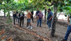 En el marco del Plan de Desarrollo Vitivinícola, el Gobierno de San Juan conformó la Mesa de Viveros Vitícolas, un espacio que reúne a los principales actores del sector para mejorar la calidad de los cultivos y fortalecer la competitividad.