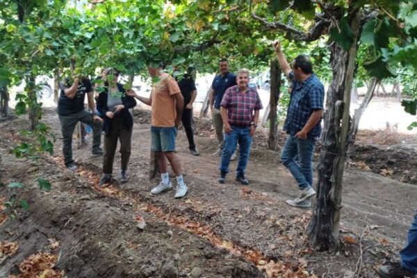 SAN JUAN FORTALECE SU VITIVINICULTURA CON LA MESA DE VIVEROS VITÍCOLAS