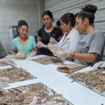 La Escuela Agrotécnica Ejército Argentino, de Valle Fértil, implementará un proyecto innovador para optimizar el proceso productivo de la algarroba con una inversión de más de 22 millones de pesos. La iniciativa se enmarca en el programa Crédito Fiscal del INET y cuenta con el patrocinio del Banco San Juan.