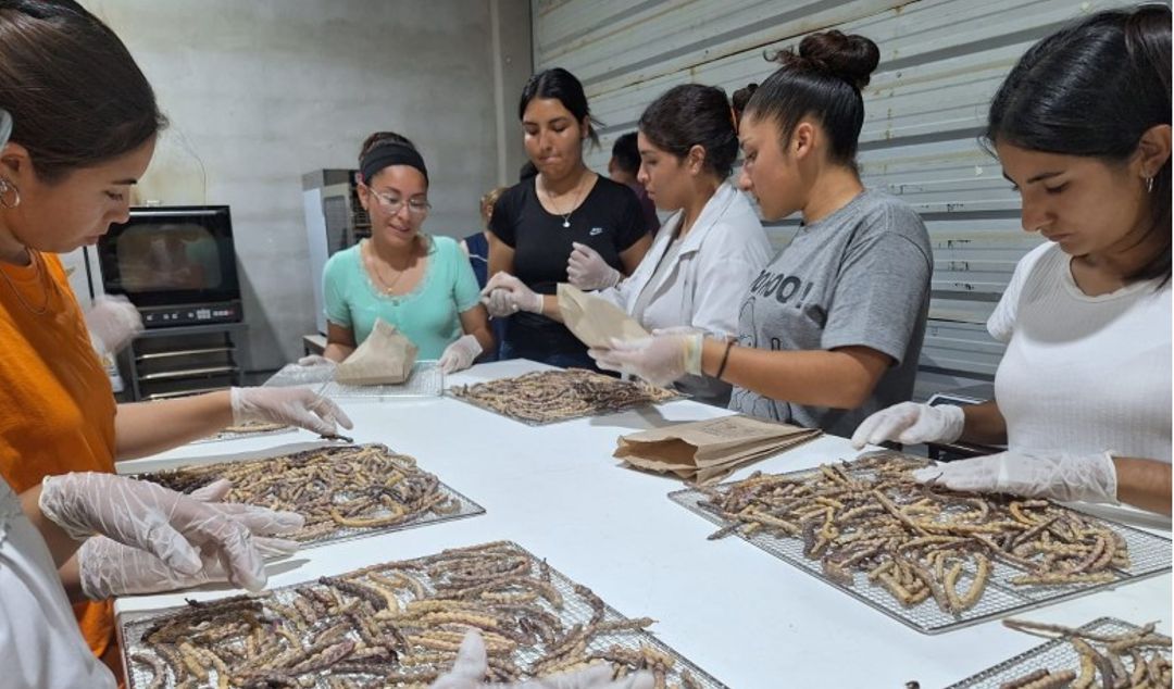 La Escuela Agrotécnica Ejército Argentino, de Valle Fértil, implementará un proyecto innovador para optimizar el proceso productivo de la algarroba con una inversión de más de 22 millones de pesos. La iniciativa se enmarca en el programa Crédito Fiscal del INET y cuenta con el patrocinio del Banco San Juan.