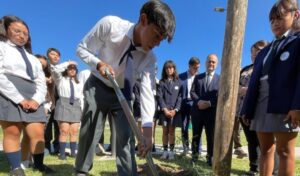 La Secretaría de Estado de Ambiente y Desarrollo Sustentable lanzó una nueva convocatoria del Programa de Forestación Provincial. Está dirigida a entidades comunitarias interesadas en forestar espacios públicos con el objetivo de promover una San Juan más verde y sustentable.