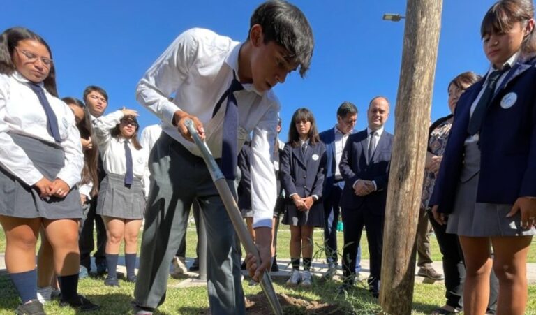 La Secretaría de Estado de Ambiente y Desarrollo Sustentable lanzó una nueva convocatoria del Programa de Forestación Provincial. Está dirigida a entidades comunitarias interesadas en forestar espacios públicos con el objetivo de promover una San Juan más verde y sustentable.
