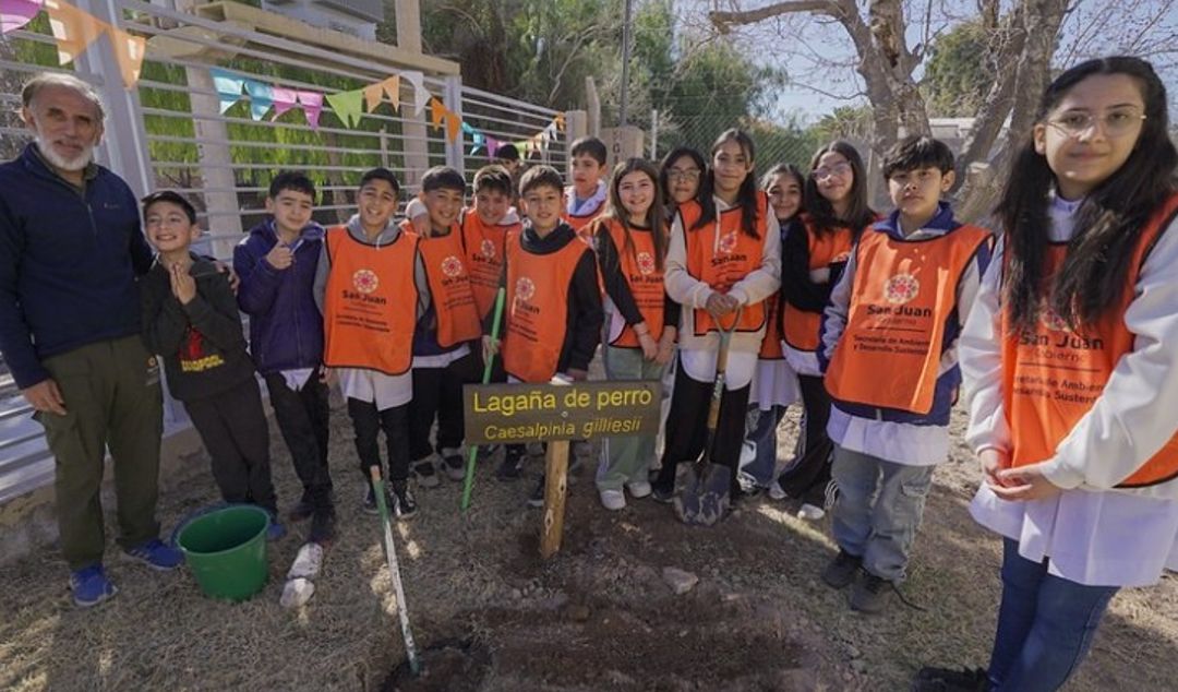 programa el Bosque en la Escuela
