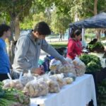 Este sábado 4 de octubre, el Paseo de las Palmeras en el Parque de Mayo será nuevamente el punto de encuentro entre productores y vecinos, con una nueva edición de la Feria Agroproductiva. Desde las 9:30 hasta las 13:30, más de 130 productores locales ofrecerán una amplia variedad de alimentos frescos y artesanales.
