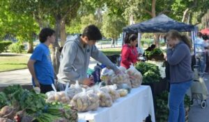 Este sábado 4 de octubre, el Paseo de las Palmeras en el Parque de Mayo será nuevamente el punto de encuentro entre productores y vecinos, con una nueva edición de la Feria Agroproductiva. Desde las 9:30 hasta las 13:30, más de 130 productores locales ofrecerán una amplia variedad de alimentos frescos y artesanales.