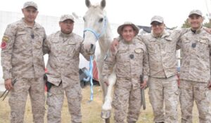 En la División Rural de la Policía de San Juan funciona un proyecto que da una segunda oportunidad a caballos criollos que fueron rescatados de casos de maltrato y cuatrerismo. Actualmente, 28 efectivos trabajan junto a animales que no provienen del suministro policial y que hoy cumplen funciones vinculadas al servicio y a la recuperación de su propia especie.