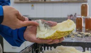 El Centro Socioeducativo Nazario Benavídez de San Juan impulsa un proyecto innovador de producción de dulces y conservas, que permite a jóvenes de entre 16 y 18 años en conflicto con la ley adquirir valores, responsabilidades y herramientas laborales para su reinserción social.