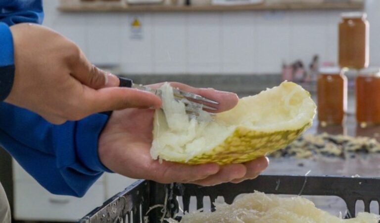 El Centro Socioeducativo Nazario Benavídez de San Juan impulsa un proyecto innovador de producción de dulces y conservas, que permite a jóvenes de entre 16 y 18 años en conflicto con la ley adquirir valores, responsabilidades y herramientas laborales para su reinserción social.