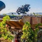 El gobernador Marcelo Orrego presentó un ambicioso plan integral de asistencia financiera por $11.000 millones destinado a productores y elaboradores de los principales sectores agroindustriales de San Juan, con el objetivo de acompañar la cosecha y elaboración 2026 de uva, olivos, tomate y otros cultivos estratégicos para la economía provincial.