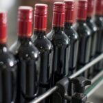 El Malbec continúa posicionándose como el emblema del vino argentino, con un crecimiento sostenido en la última década. En este contexto, San Juan se consolida como una de las provincias protagonistas del desarrollo vitivinícola nacional.