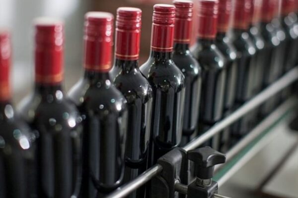 EL MALBEC CONSOLIDA SU LIDERAZGO Y SAN JUAN SE AFIANZA COMO POTENCIA VITIVINÍCOLA