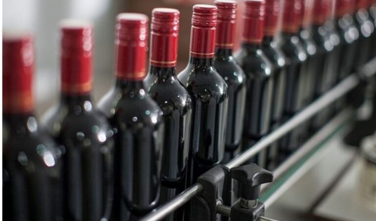 El Malbec continúa posicionándose como el emblema del vino argentino, con un crecimiento sostenido en la última década. En este contexto, San Juan se consolida como una de las provincias protagonistas del desarrollo vitivinícola nacional.