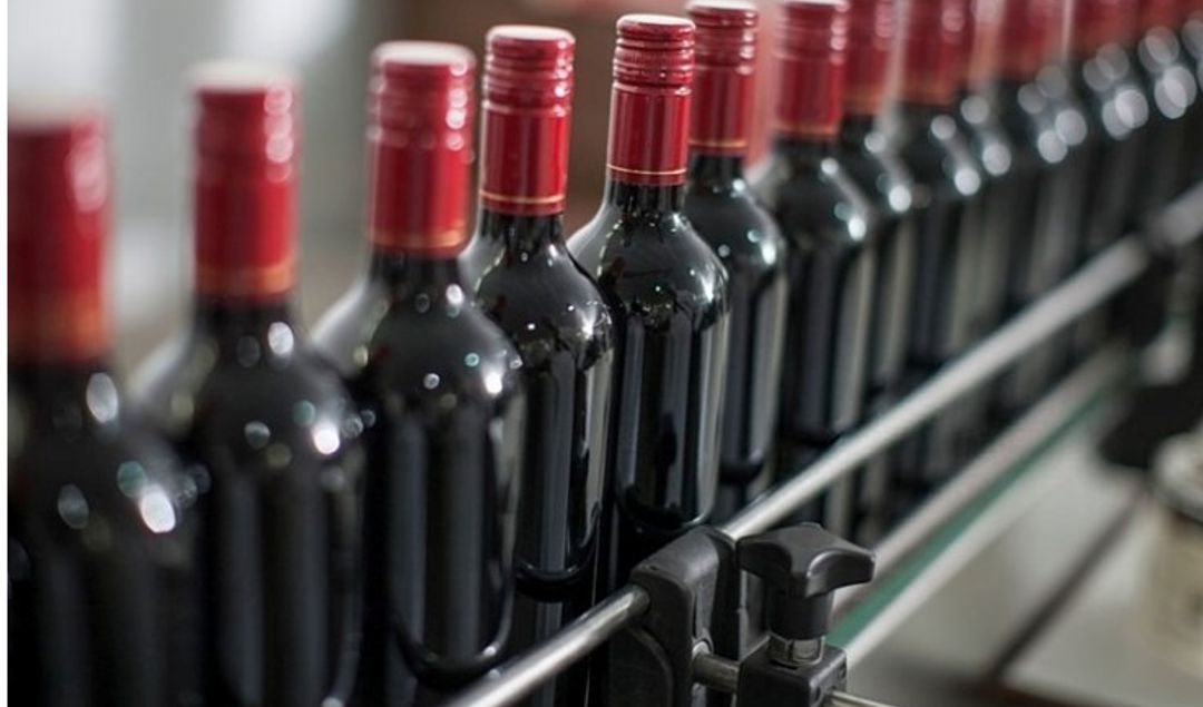 El Malbec continúa posicionándose como el emblema del vino argentino, con un crecimiento sostenido en la última década. En este contexto, San Juan se consolida como una de las provincias protagonistas del desarrollo vitivinícola nacional.