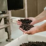 La pasa de uva continúa afianzándose como uno de los productos más representativos de San Juan, combinando tradición vitivinícola, condiciones climáticas ideales y una creciente proyección exportadora. Su desarrollo refleja el potencial agroindustrial de la provincia.