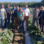 El Gobierno de San Juan continúa desarrollando acciones de apoyo para productores hortícolas de Albardón que resultaron afectados por la rotura del canal principal de riego. A través de la Secretaría de Agricultura, Ganadería y Agroindustria se realizó una recorrida para supervisar el avance de los cultivos en las fincas beneficiadas.
