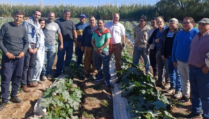 El Gobierno de San Juan continúa desarrollando acciones de apoyo para productores hortícolas de Albardón que resultaron afectados por la rotura del canal principal de riego. A través de la Secretaría de Agricultura, Ganadería y Agroindustria se realizó una recorrida para supervisar el avance de los cultivos en las fincas beneficiadas.