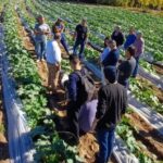 En el marco del Día del Horticultor, que se celebra cada 17 de mayo, el Gobierno de San Juan dio a conocer las distintas acciones implementadas para asistir al sector hortícola tras los eventos climáticos y problemas de infraestructura registrados durante los primeros meses del año.