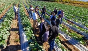 En el marco del Día del Horticultor, que se celebra cada 17 de mayo, el Gobierno de San Juan dio a conocer las distintas acciones implementadas para asistir al sector hortícola tras los eventos climáticos y problemas de infraestructura registrados durante los primeros meses del año.