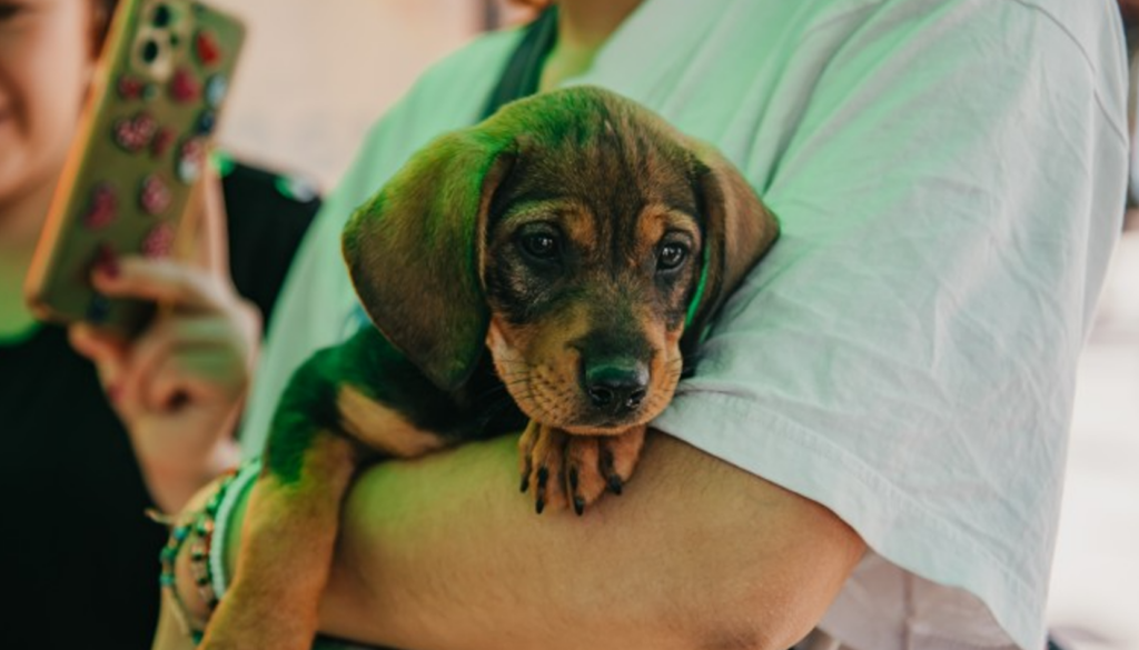 La Secretaría de Estado de Ambiente y Desarrollo Sustentable llevará el quirófano de esterilización de mascotas al Parque de Rivadavia, donde el próximo martes 6 de octubre se realizará un operativo especial destinado a perros y gatos. La actividad comenzará a las 14:00 y contará con diferentes prestaciones gratuitas.